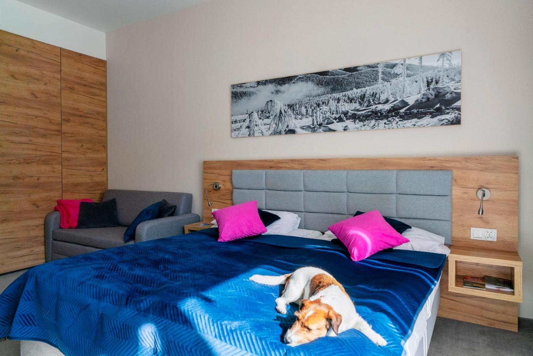 Apartament Folgaria - Aparthotel Panorama Czarna Gora Siena Buitenkant foto